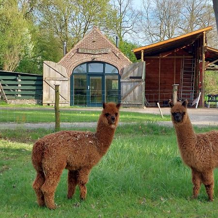 Holiday Home Achterbos Sint-Oedenrode 外观 照片