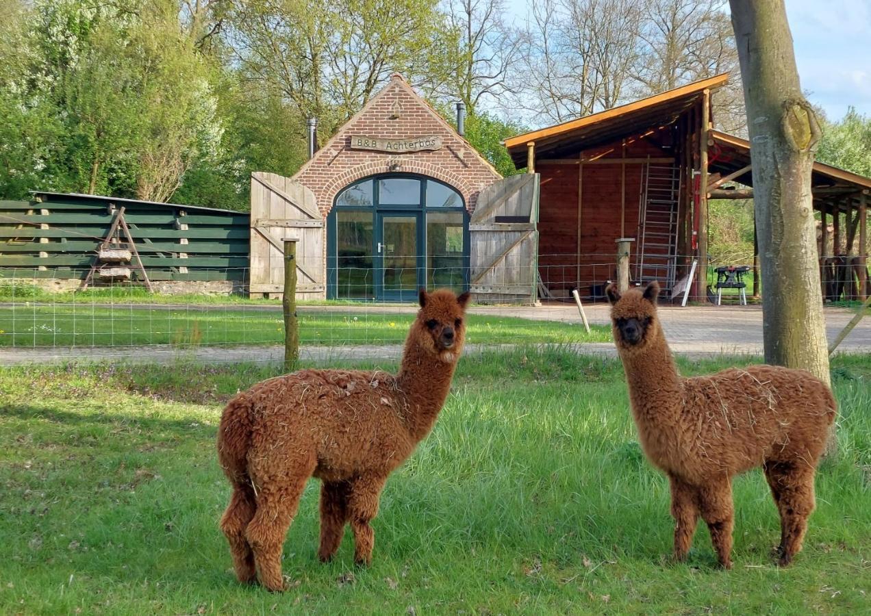 Holiday Home Achterbos Sint-Oedenrode 外观 照片